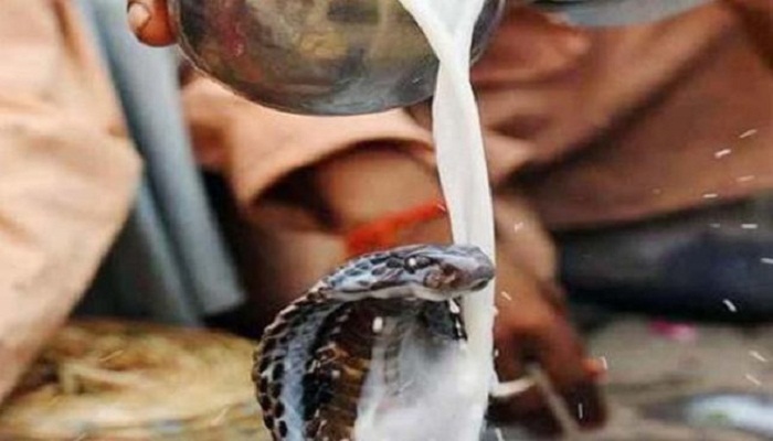 Nag Panchami