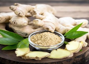 benefits pregnant women can have by eating ginger