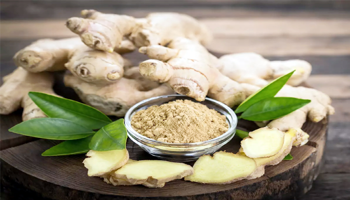 benefits pregnant women can have by eating ginger