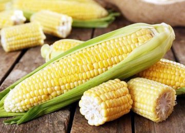 benefits can result from eating corn