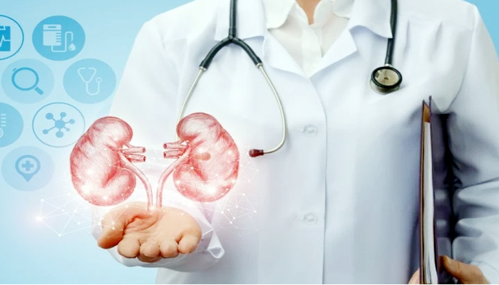 body can cause kidney failure