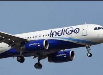 IndiGo