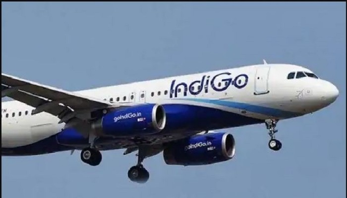 IndiGo