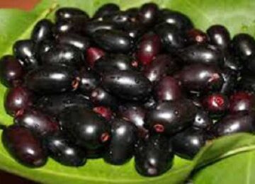 Jamun wine