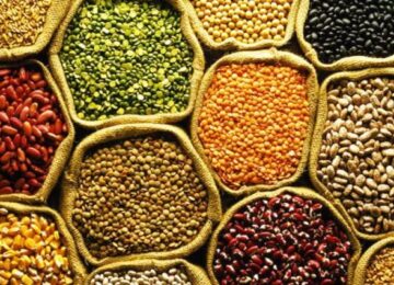 Pulses rate rise