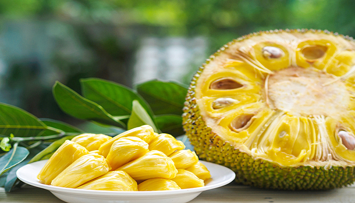 jackfruit for immunity