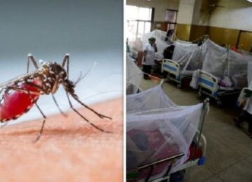 Dengue