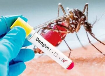 Dengue