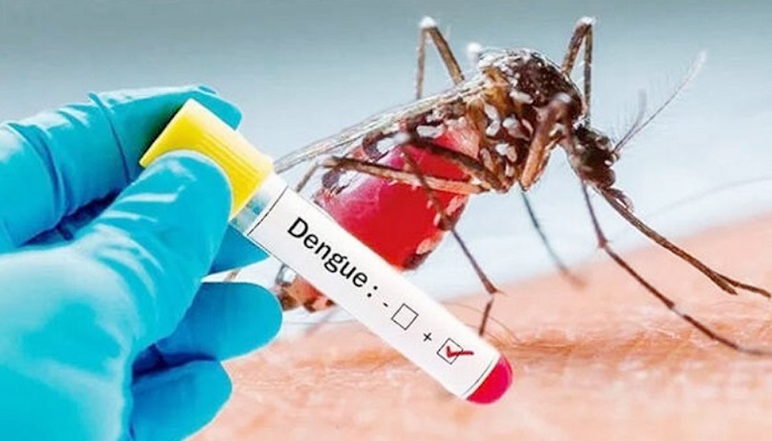 Dengue