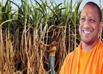 Sugarcane Farmers