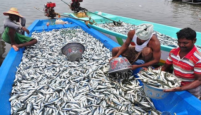 Fish Farming