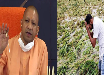 cm yogi