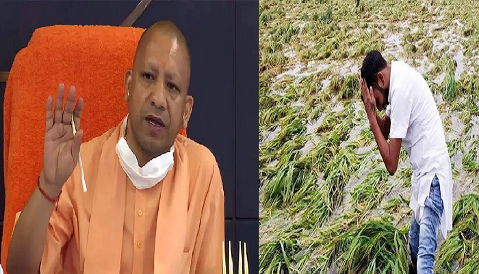 cm yogi