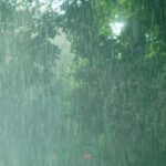 Monsoon