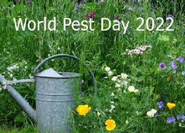 World Pest Day