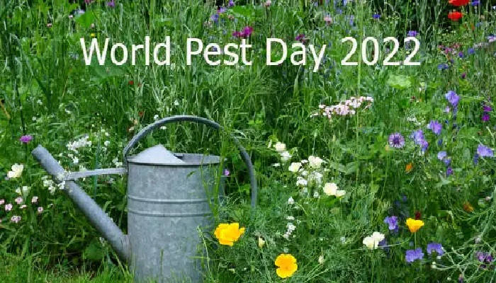 World Pest Day