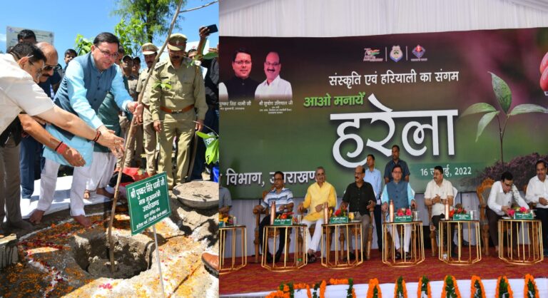 CM Dhami