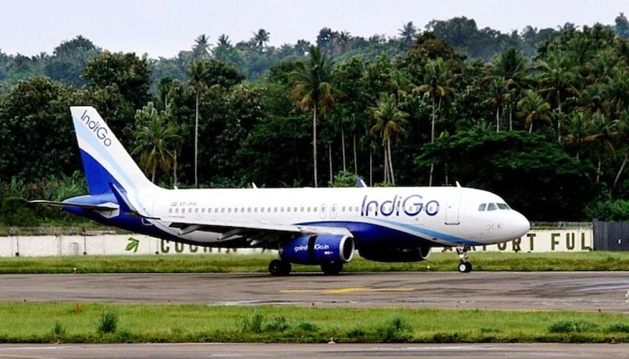 Indigo