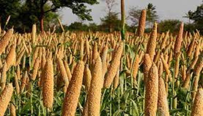 Millets