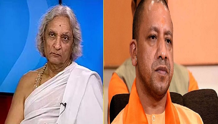 yogi