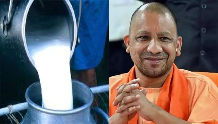 cm yogi