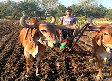 natural farming