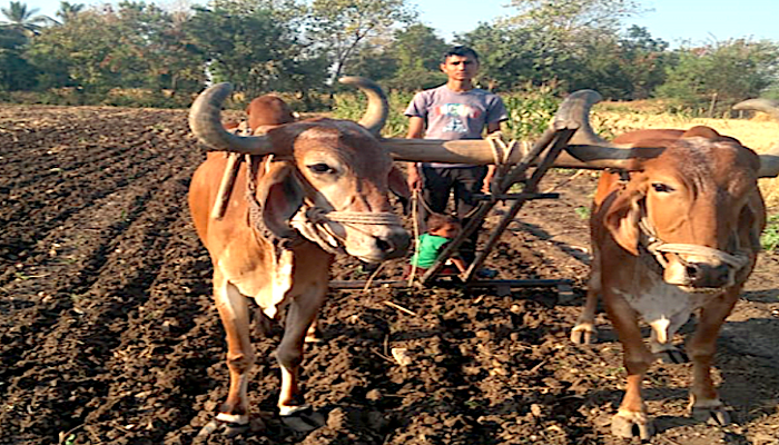 natural farming