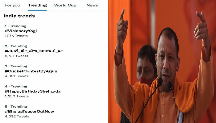 yogi