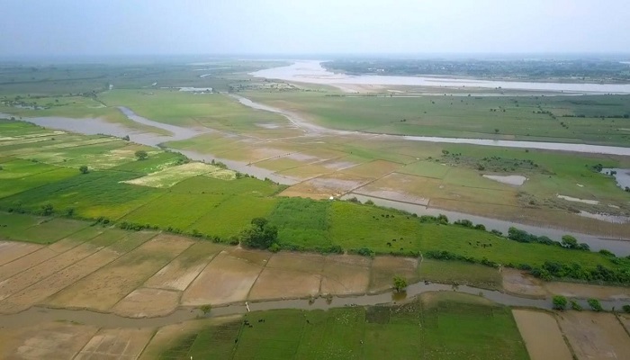 city forest in vrindavan