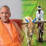 Farmers