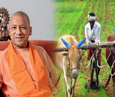 Farmers