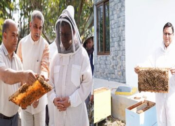 Honey processing