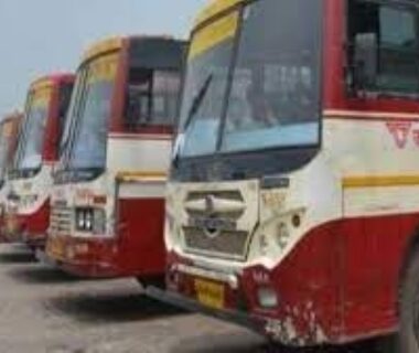Bus