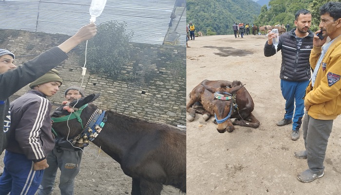 kedarnath yatra