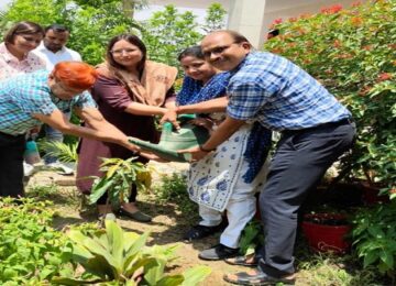 Neha Sharma planted a sapling