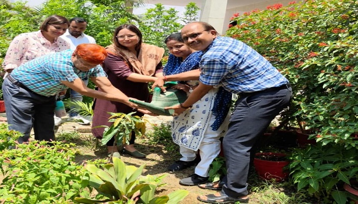 Neha Sharma planted a sapling