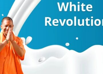 white revolution