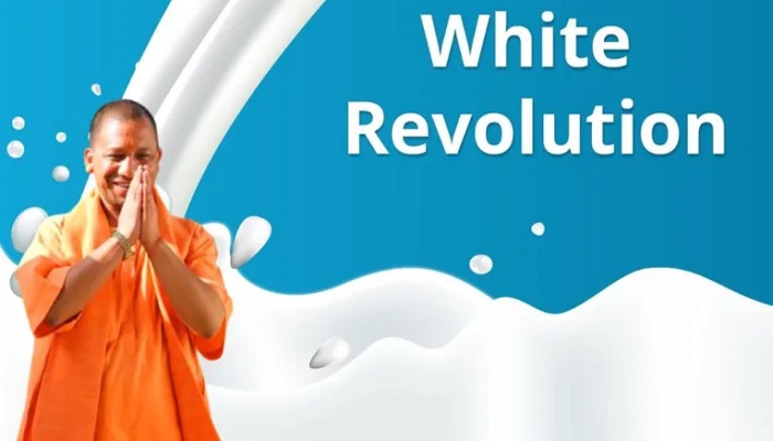 white revolution