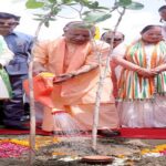 CM Yogi will inaugurate plantation from Gorakhpur