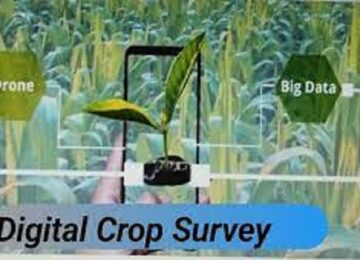 Digital Crop Survey