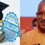 Scholarship