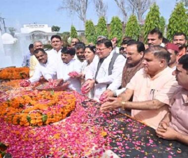 CM Dhami