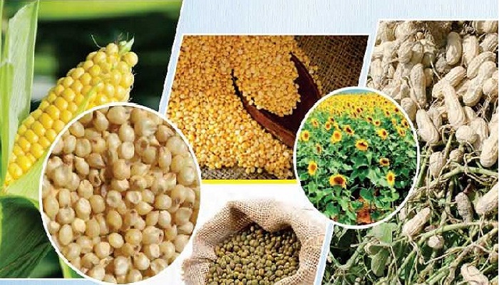 Kharif Crops