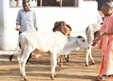 CM Yogi