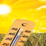 Heat Wave