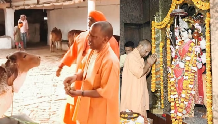 CM Yogi