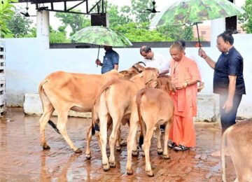 CM Yogi