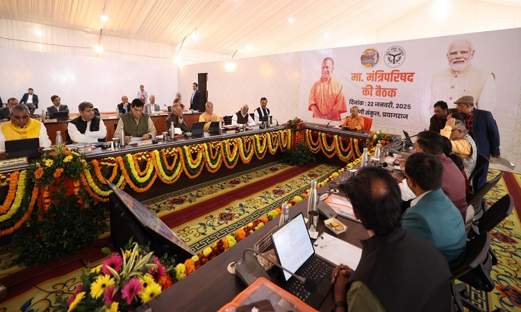 Yogi Cabinet