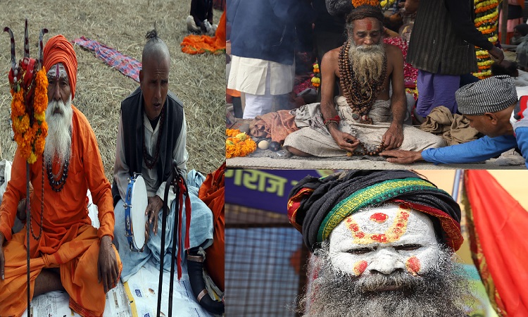 A unique world of saints and sages was established in Maha Kumbh