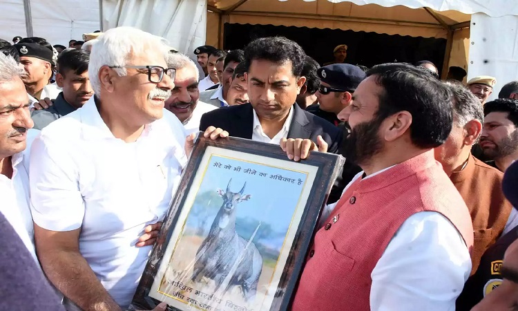 CM Nayab Singh Saini